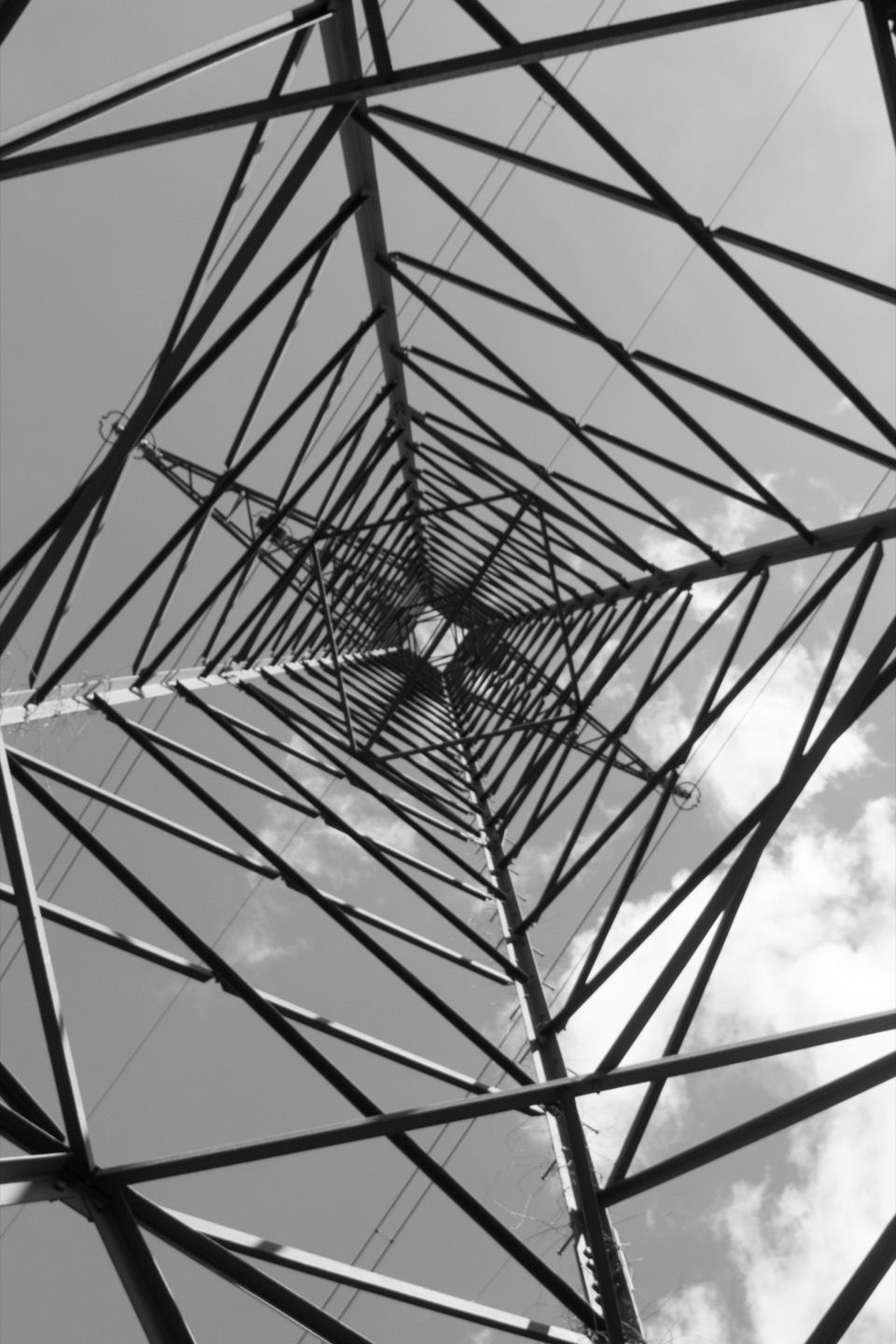 fotOiride - foto-dal-basso-all-alto.jpg